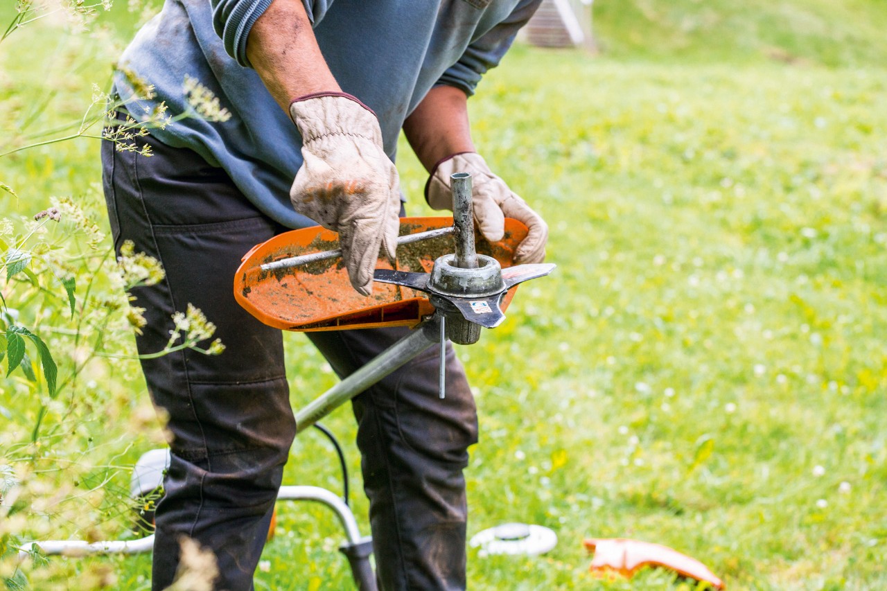 Під час технічного обслуговування мотокоси STIHL FS 131 очищається косильна головка