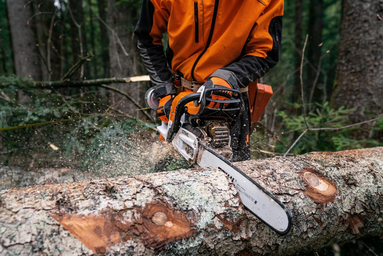 Зрубаний стовбур дерева розпилюють на землі бензопилкою STIHL MS 400 C-M з поршнями з магнієвого сплаву.
