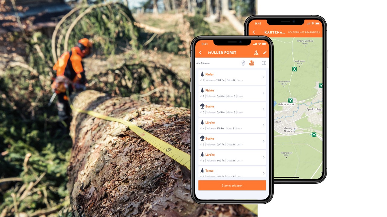 Колаж з деревом за допомогою рулетки та дисплеїв смартфона з додатком STIHL Holzliste